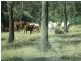 Duaringa QLD 4712