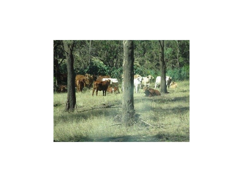 Duaringa QLD 4712
