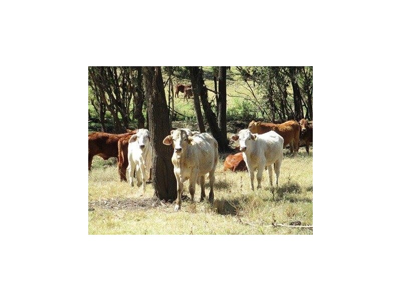Duaringa QLD 4712