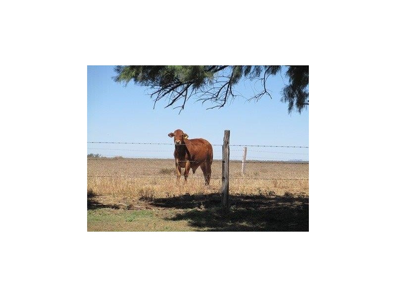 Duaringa QLD 4712