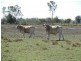 Duaringa QLD 4712