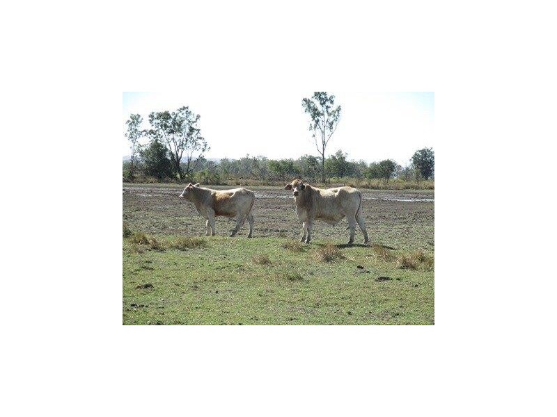 Duaringa QLD 4712