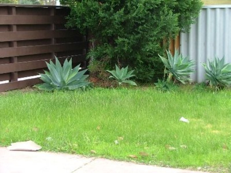 35B Odin Road, Innaloo WA 6018