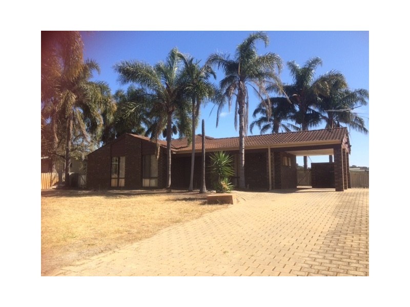 53 Wildflower Drive, Carramar WA 6031