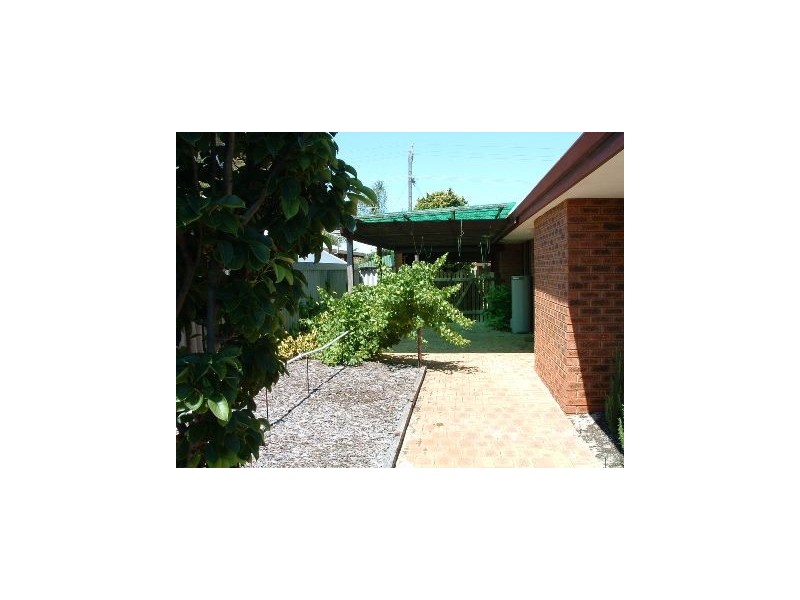 88 Rostrata Avenue, Willetton WA 6155