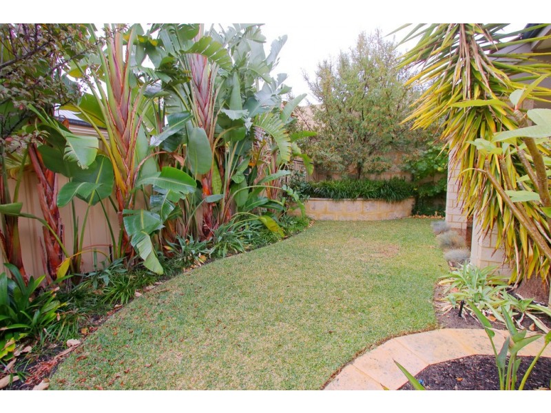 83 Wattle Mews, Hocking WA 6065