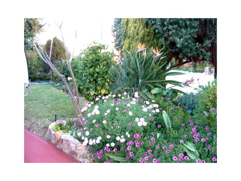 150 Duffy Road, Carine WA 6020