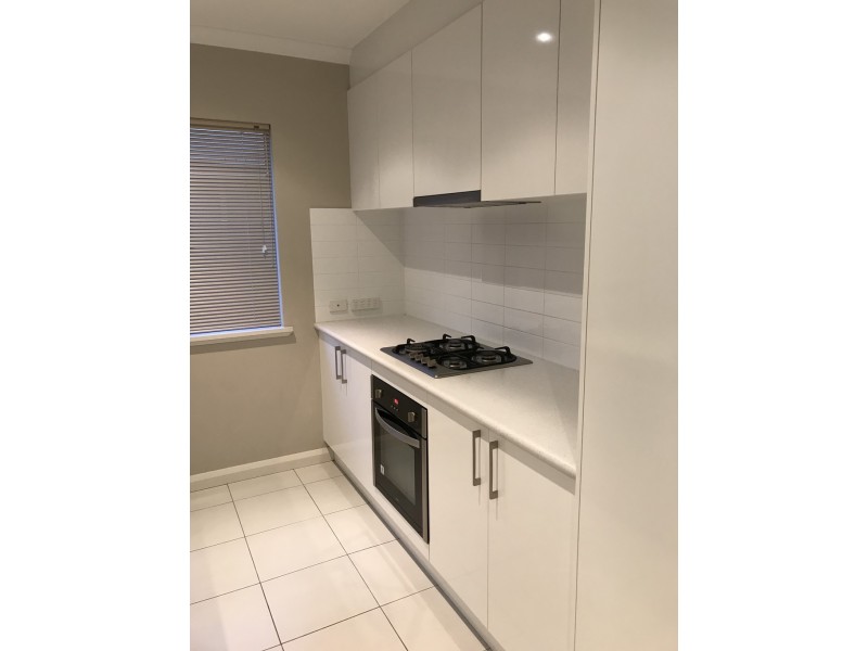 15A Pissaro Crescent, Ashby WA 6065