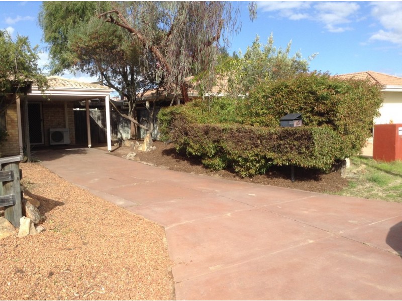 42 Fringe Lily Crescent, Ellenbrook WA 6069