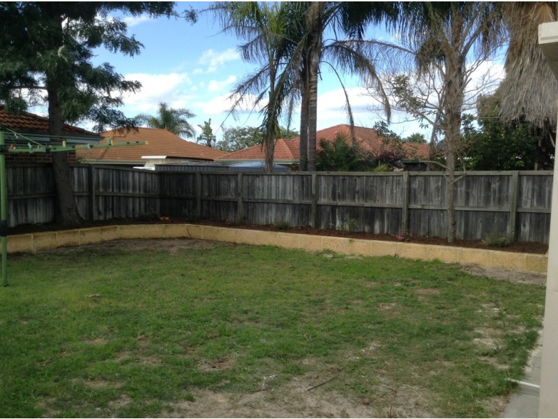 42 Fringe Lily Crescent, Ellenbrook WA 6069