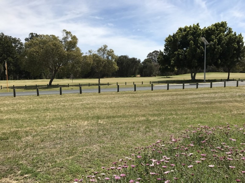35 Downing Crescent, Wanneroo WA 6065