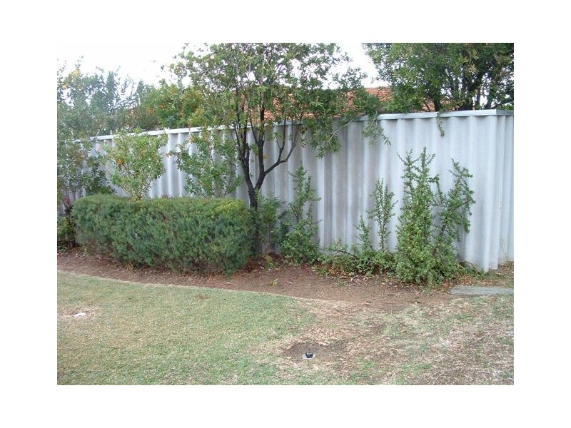 8 Macquarie Avenue, Padbury WA 6025