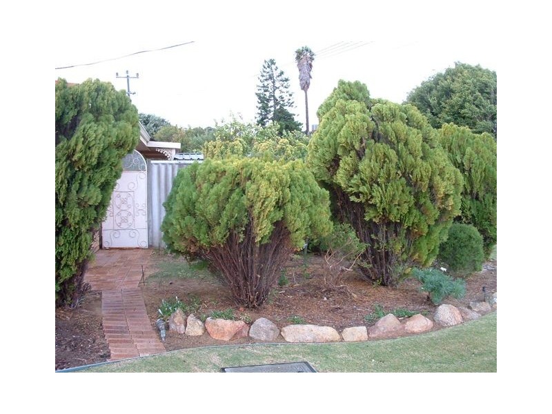 8 Macquarie Avenue, Padbury WA 6025