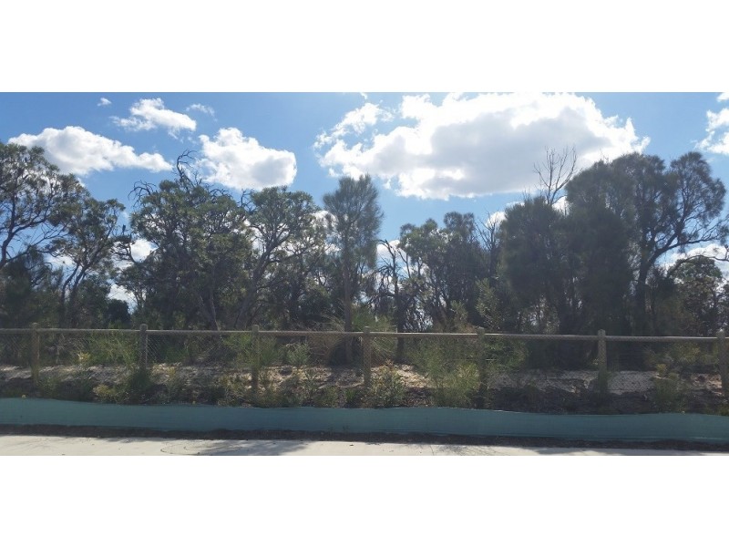 53 Boomerang Loop, Banksia Grove WA 6031