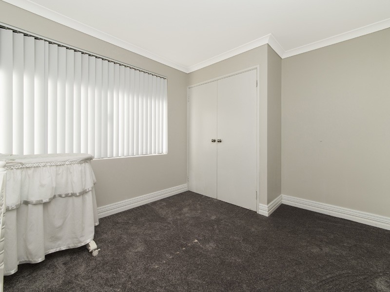 113 Homebush Drive, Butler WA 6036