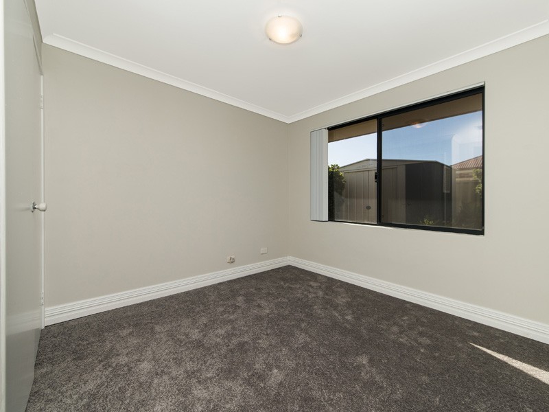 113 Homebush Drive, Butler WA 6036