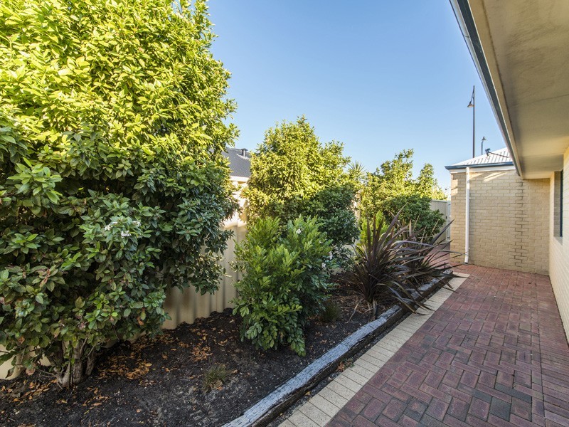 113 Homebush Drive, Butler WA 6036