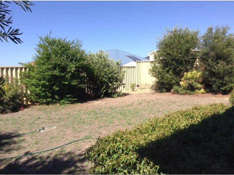 62 Marchwood Boulevard, Butler WA 6036