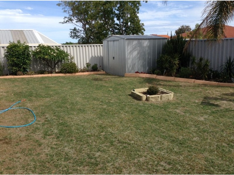 19 Combewood Loop, Carramar WA 6031