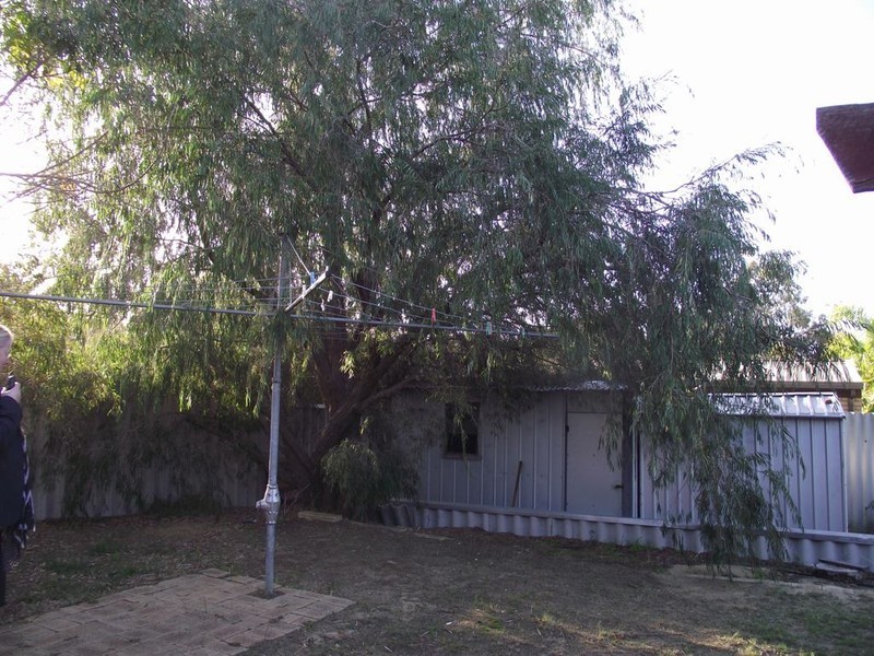 11  Beltana Road, Craigie WA 6025