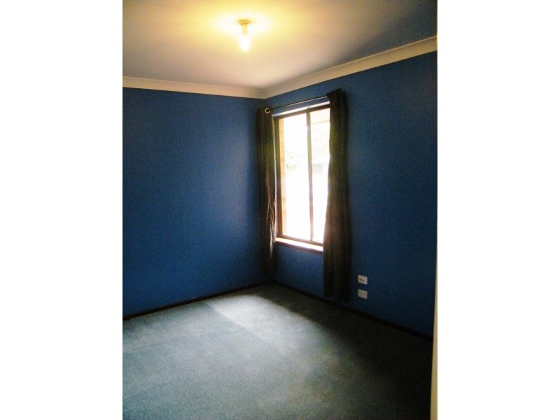 4 Dandaloo Crescent, Wanneroo WA 6065