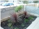 9 Fenian Pass, Hillarys WA 6025