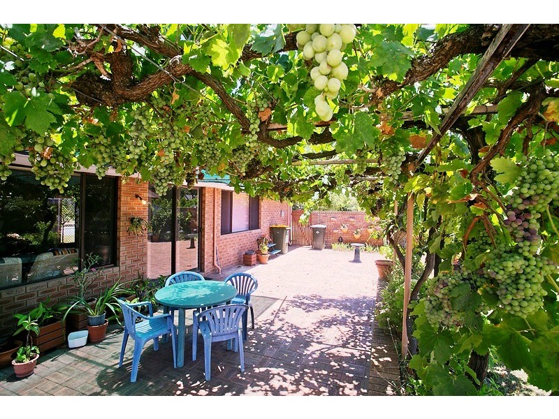 8 Pinnelli Road, Wanneroo WA 6065