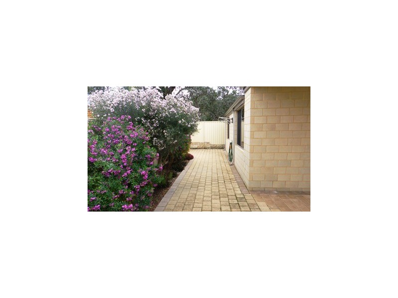 19 Haddon Terrace, Madeley WA 6065