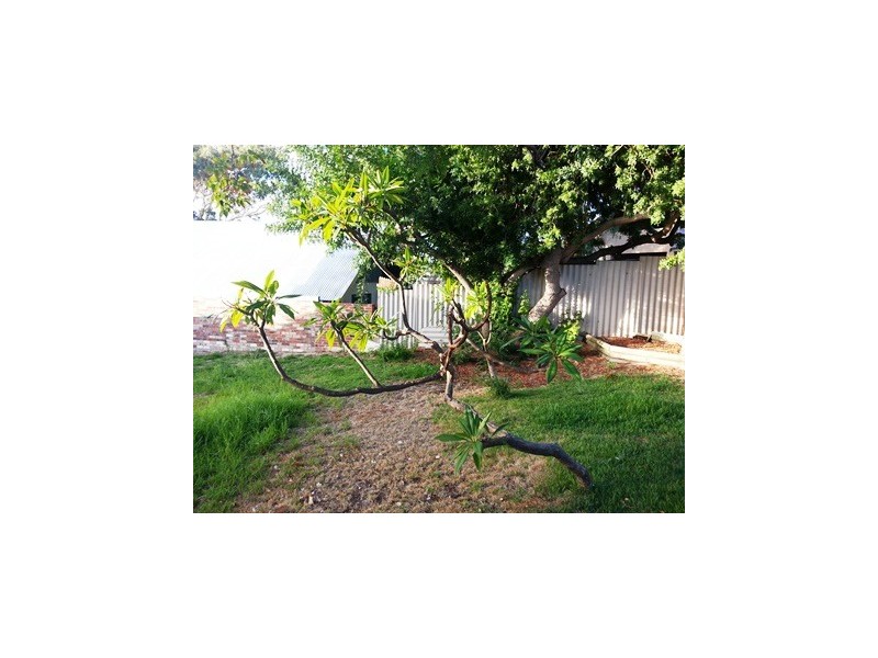 14 Oxcliff Road, Doubleview WA 6018