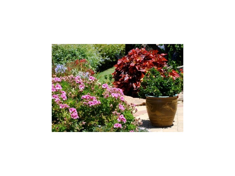 19 Seapeak Road, Ocean Reef WA 6027