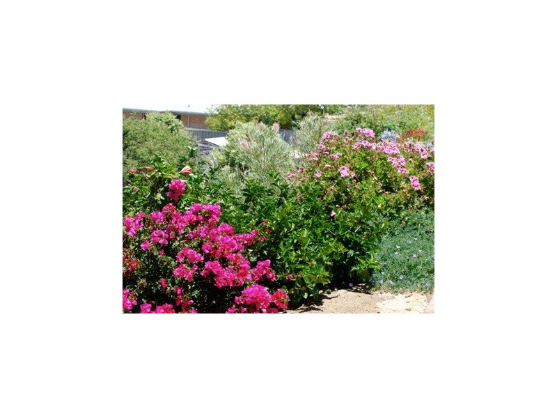 19 Seapeak Road, Ocean Reef WA 6027