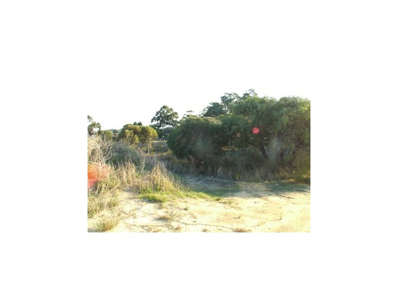 520 Sydney Road, Gnangara WA 6077