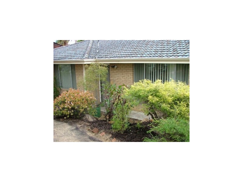 49 Frederick Street, Wanneroo WA 6065