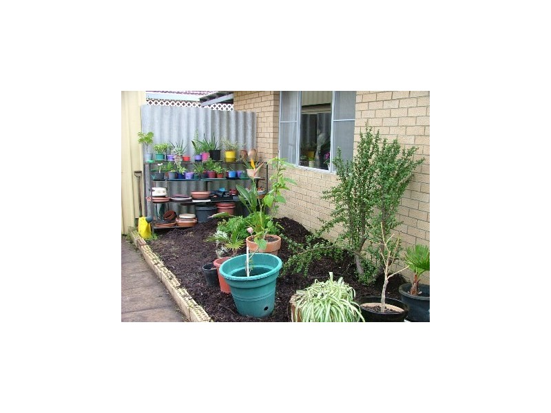 49 Frederick Street, Wanneroo WA 6065