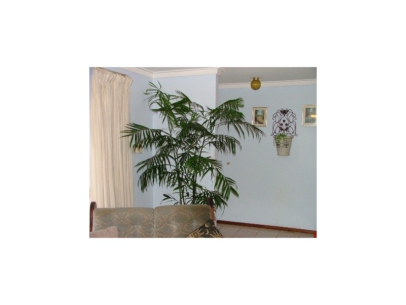 49 Frederick Street, Wanneroo WA 6065