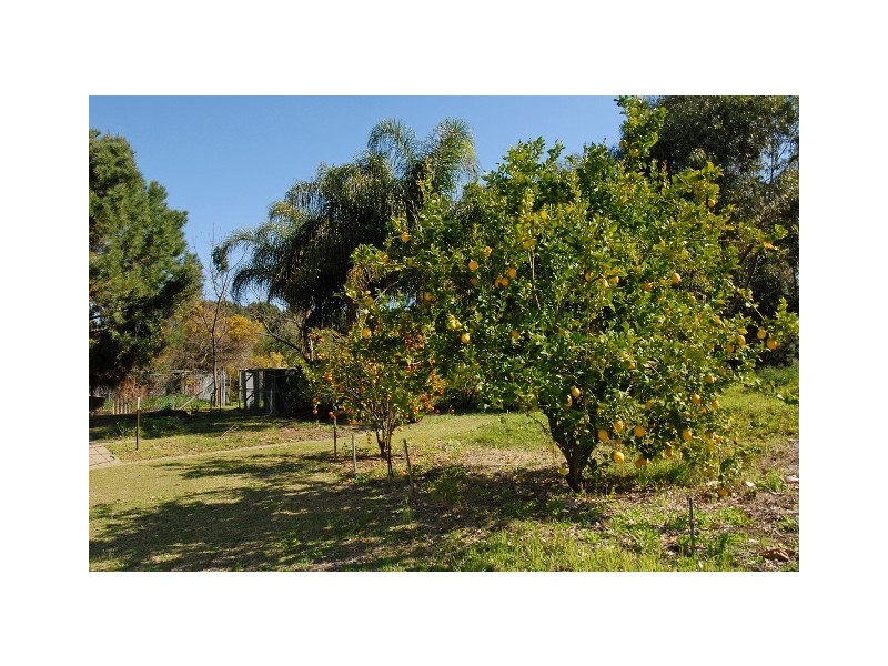 52 Timely Hostess Mews, Mariginiup WA 6065