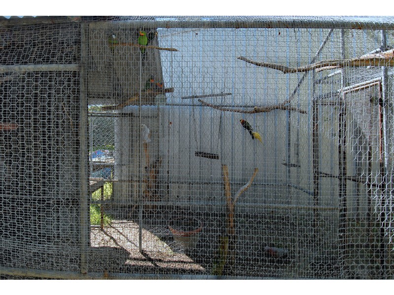 52 Timely Hostess Mews, Mariginiup WA 6065