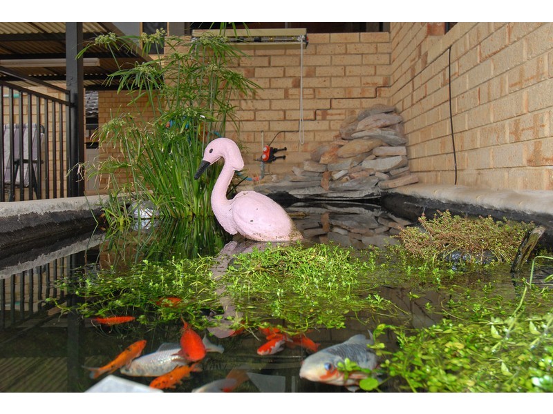 11 Siddeley Place, Dianella WA 6059