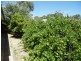 63 Quarkum Street, Wanneroo WA 6065