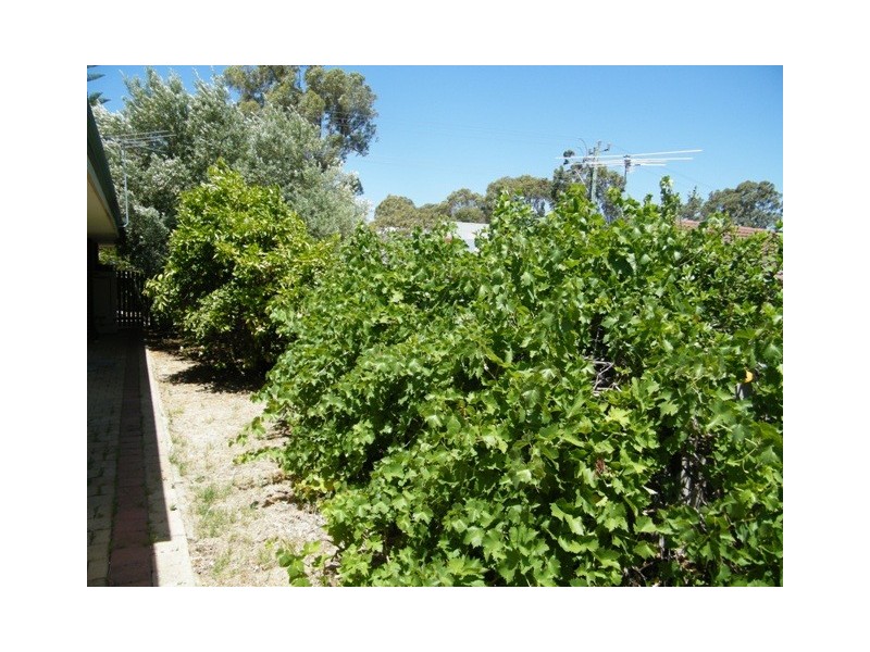 63 Quarkum Street, Wanneroo WA 6065