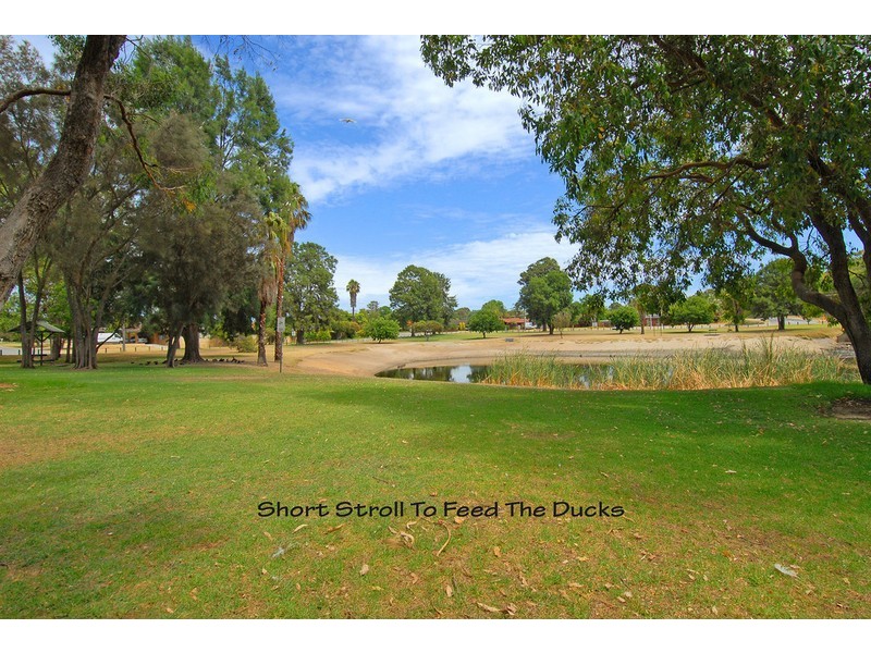 36 Beenong Street, Wanneroo WA 6065