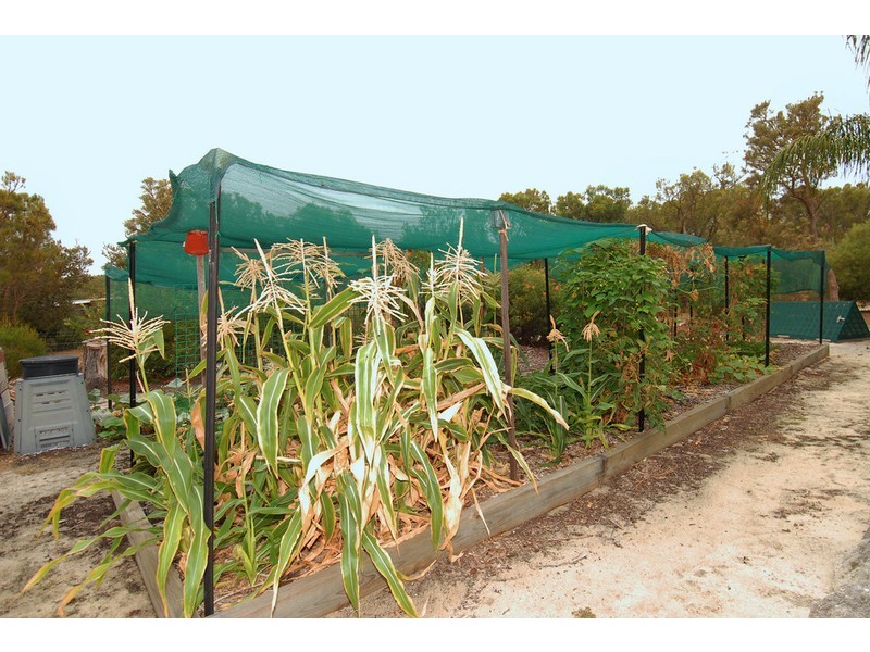 16 Lakelands Drive, Gnangara WA 6065