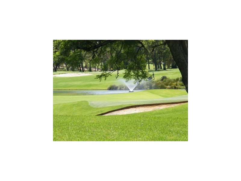 7/19 Hindmarsh Avenue, Yokine WA 6060