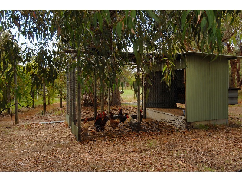 23 Shillington Way, Wanneroo WA 6065