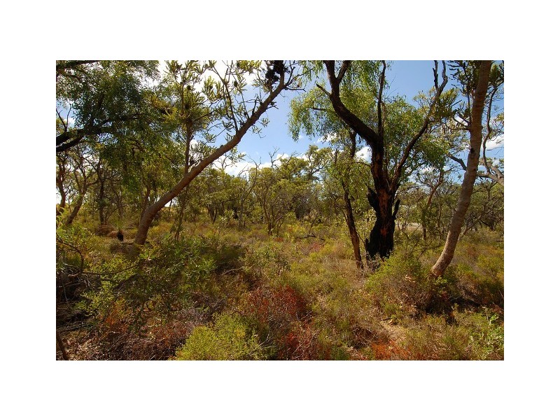 54 The Fairways, Gnangara WA 6065