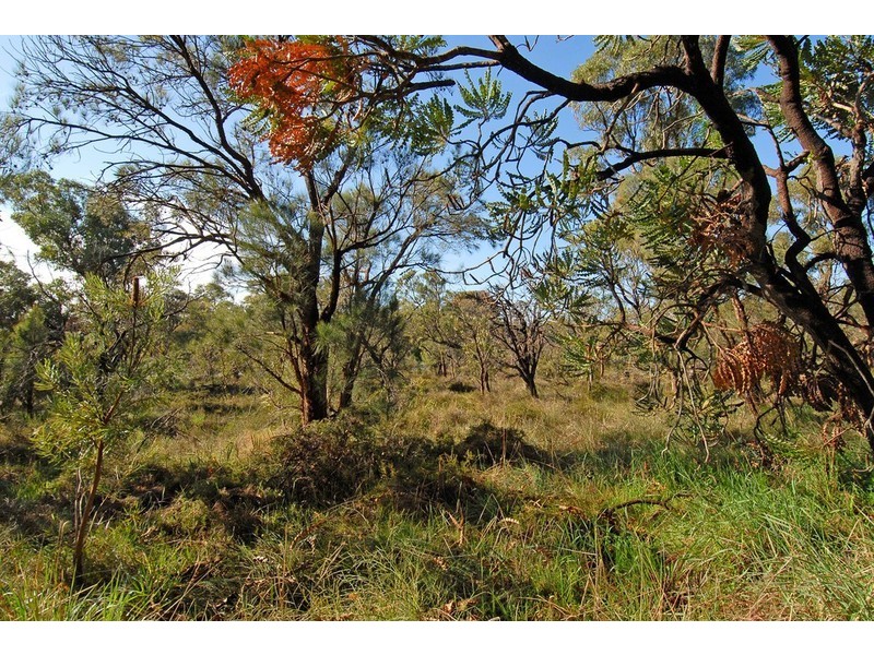 174 Belgrade Road, Wanneroo WA 6065