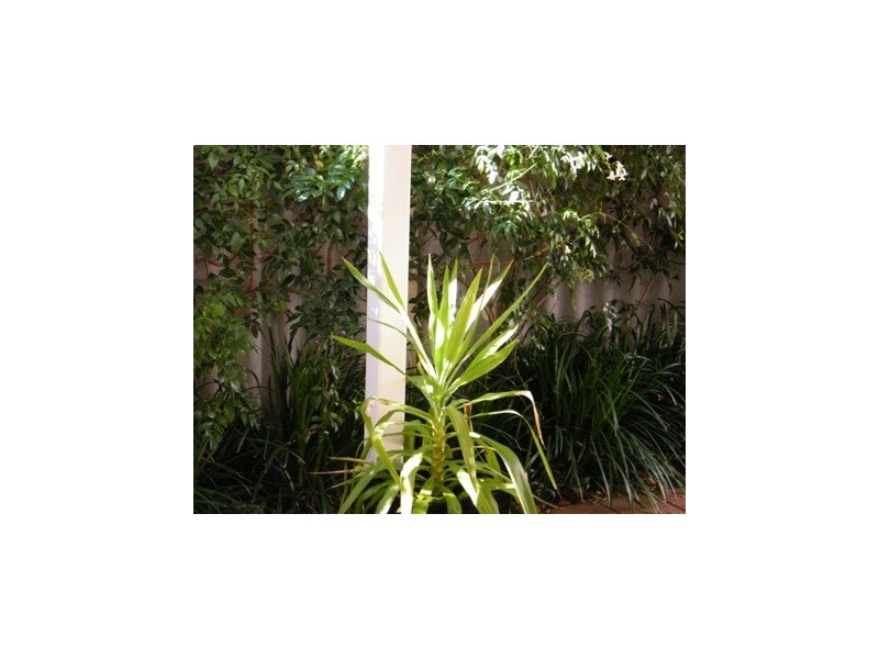 4/7 Hazel Avenue, Woodlands WA 6018