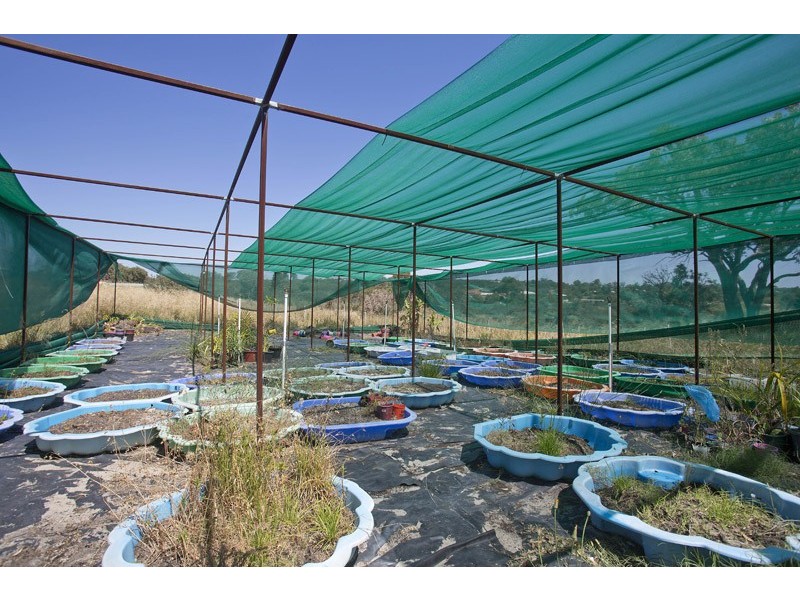 66 Pinecrest Way, Gnangara WA 6077