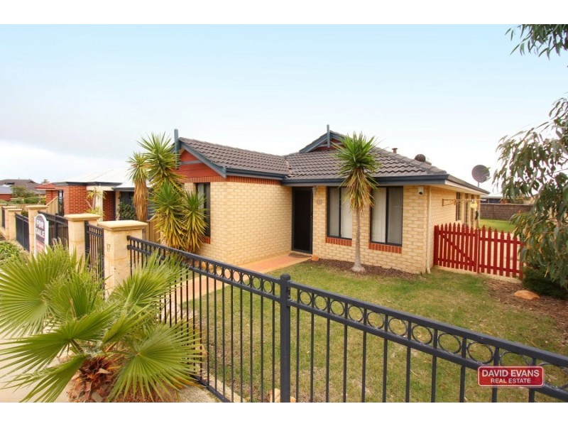 17 Whitland Street, Butler WA 6036