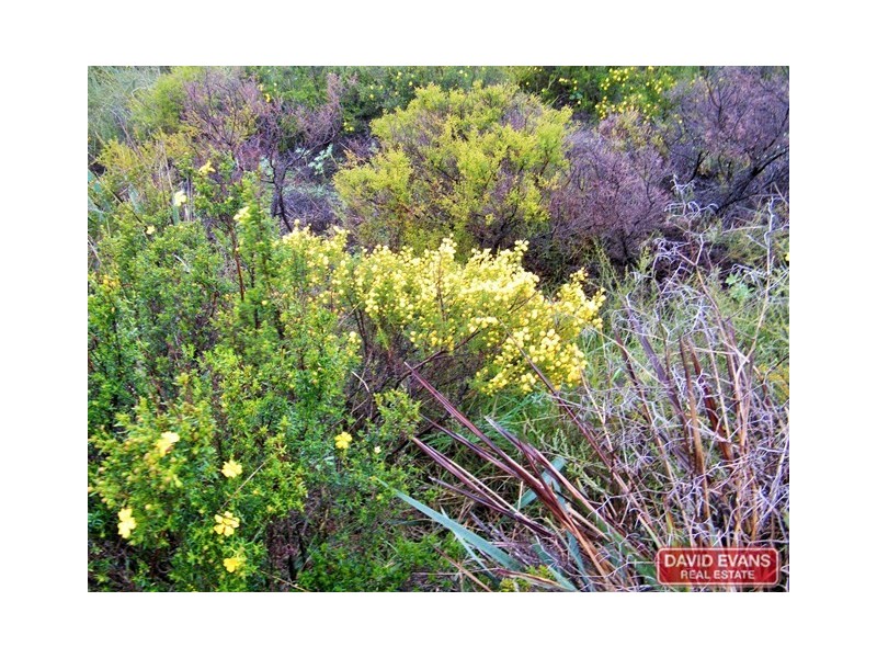 183 Darch Trail, Gabbadah WA 6041